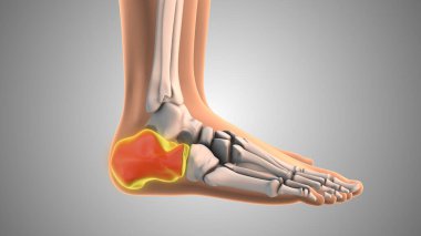 Baş parmağım yanıyor ve karıncalanıyor.