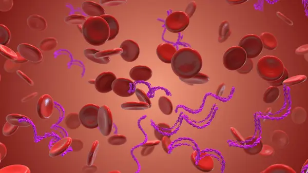 Lyme hastalığı alyuvar hücrelerini etkiledi