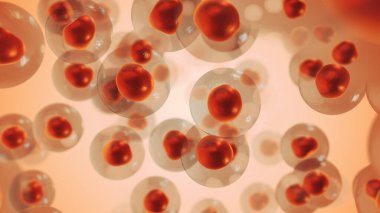 Melanoma kanseri hücreleri Tıbbi animasyon