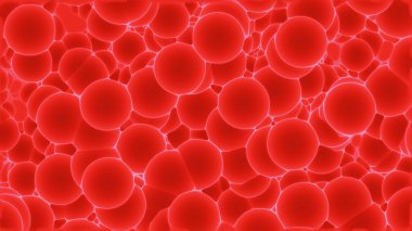 Temel Dolaşım Kanı Bileşen Hücresel Yapısı