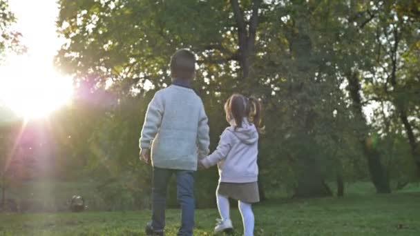 Küçük Çocuk Bir Büyük Oğlan Bir Küçük Kız Parkta Ele — Stok video