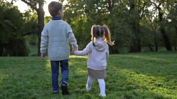 公園を歩いている2人の若い子供 1人の年上の男の子と若い女の子が手をつないでいる 後ろの景色 — ストック動画