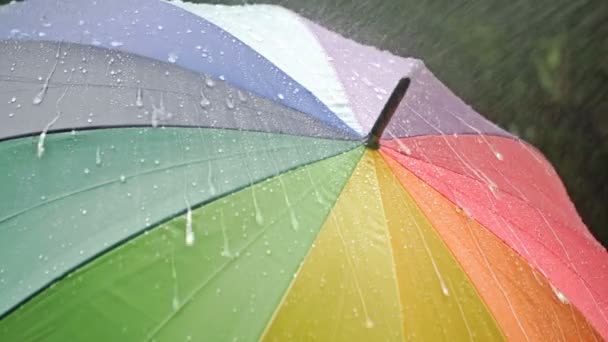 Rotating Motley Umbrella Rain — Stock Video