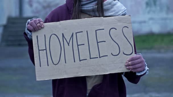 Молода Жінка Сидить Чашкою Благання Тримає Постер Ручної Роботи Homeless — стокове відео