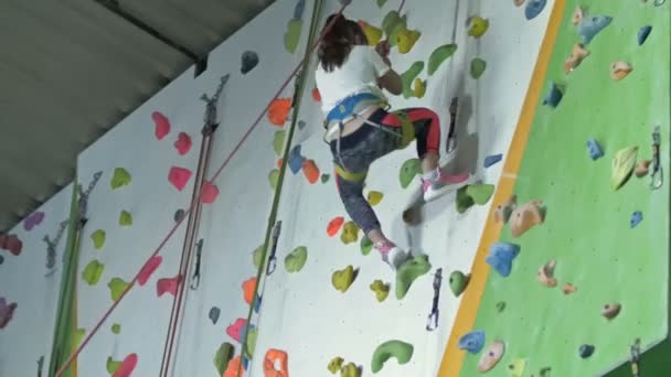 子供のためのスポーツクライミング 少女登山家は自信を持ってトレーニングの壁を降りて 安全ロープにしがみついている — ストック動画