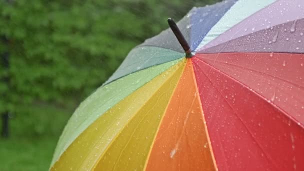 Obracający Się Parasol Deszczu Tłumaczenie — Wideo stockowe