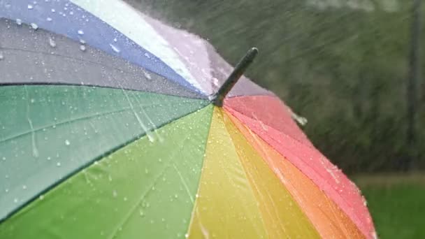 Rotating Motley Umbrella Rain — Vídeos de Stock