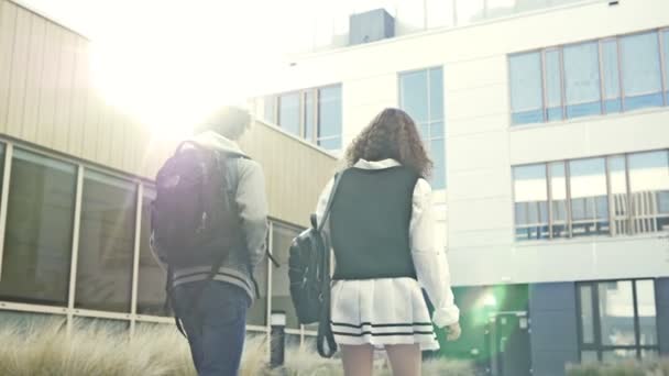 Gymnasieelever Dreng Pige Går Skole Teenagere Taler Livligt Bagsidebillede – Stock-video