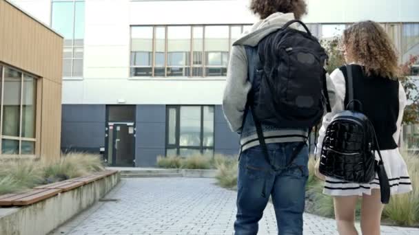 Lise Öğrencisi Bir Erkek Bir Kız Sınıfa Gidin Gençler Hareketli — Stok video
