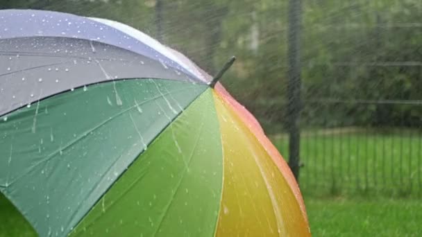 Rotating Motley Umbrella Rain — стоковое видео