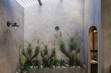 Çatı penceresi olan bir köşe ve modern bir kafede saksılarda bitkiler.