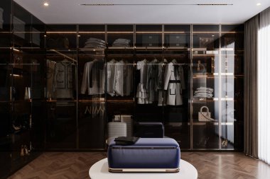 Butik tarzı bir organizasyonu olan gömme dolabı olan bir yatak odası.