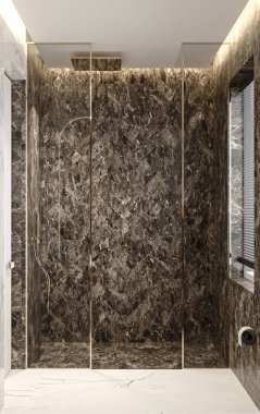 Modern banyoda duş başlığı ve banyo içi için hijyenik malzeme.