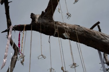 Tellerin üzerindeki cam parçalarının sembolik bir grubu. Arka planda gökyüzü ve eski ağaç var. Özet, dekor teması 