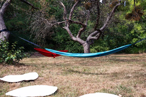 青いハンモックと赤いハンモック 白は草の上を循環する キャンプ テーマ — ストック写真