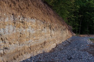 Yeşil ağaçlı ormanda, sarı toprak duvarın yanında gri taş yol. Manzara, arkaplan, duvar kağıdı