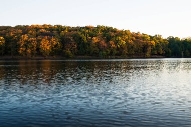 Ormanlı gölün kıyısındaki son güneş ışınları. Güzel manzaralı panoramik sonbahar manzarası. Altın saat. Kart, duvar kağıdı