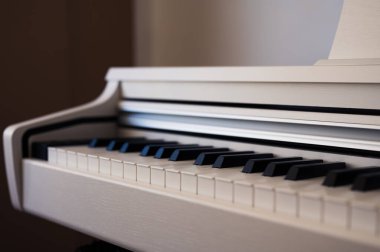 Beyaz, dik piyano. Siyah beyaz tuşlu klasik piyano klavyesi. Müzik görüntüsü