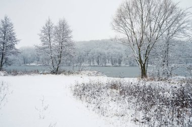 Kıyısında orman olan donmuş nehre kar yürüyüşü yolu. Kimse.