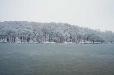 Koyu gri buz gölü ya da nehri kaplar. Donmuş manzara. Kıyıda kış ormanı ağaçları