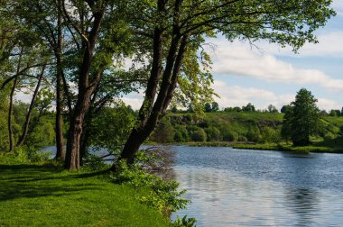 Sulu yeşil çimenler ve sakin nehir kıyısındaki ağaçlar. Güneşli bir gün, derin gölgeler, beyaz bulutlar.