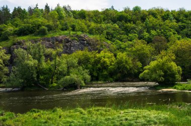 Nehir yeşil ormanda akar, suda kayalar kıyıda ağaç ve çimenler olan küçük bir ada. Ukrayna Güney Buh