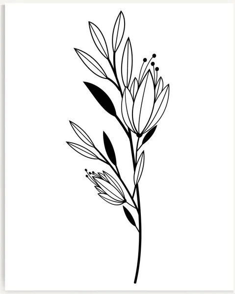 植物学抽象线条艺术 手工绘制的草本植物花束 叶子和枝条 病媒图解 — 图库矢量图片