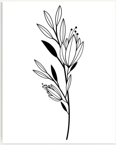 Botanical Abstract Line Art Hand Drawn Bouquets Herbs Flowers Leaves — Stock Vector