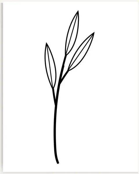 Arte Linha Abstrata Botânica Bouquets Desenhados Mão Ervas Flores Folhas — Vetor de Stock