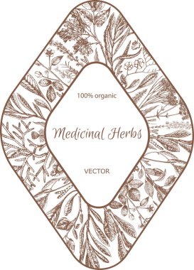 Şifalı bitkilerle geçmişe dönüş. Tıbbî bitkiler, el yapımı illüstrasyon. Retro vintage grafik tasarımı. Botanik çizimi. Eşkenar dörtgendeki bitkilerle etiketle