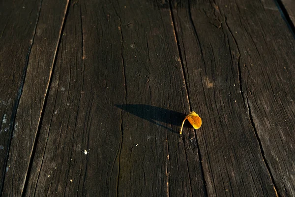 黄色い葉が側面に落ちている茶色のテーブルトップ 背景として使用する — ストック写真