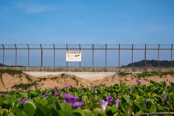 An airport wall with a sign on the airfield. blue sky And there are flower fields in the desert.