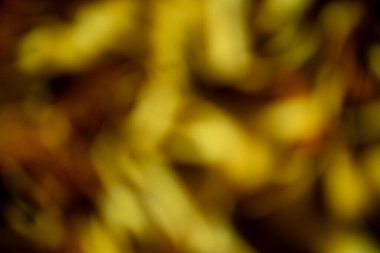 Bokeh bilgisayar monitörleri ve ampuller tarafından yakalandı. Çeşitli festivaller için bulanık bir görüntü oluşturun ve bunu bir partide arkaplan resmi olarak kullanın..