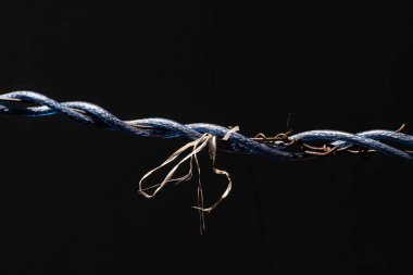 Laos elbiseleri iplerle birbirine dolanmış ve iplerle bağlanmış bir şekilde kurutuyor. Karanlık tonlarda garip bir resim yaratıyor..