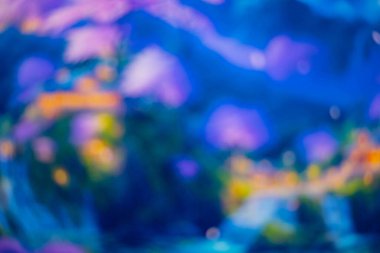 Arka plan renkli bokeh bir bilgisayar ekranı ve ışıklar tarafından yakalandı. Görüntüyü çoğunlukla kırmızı, mavi, sarı ve siyah olarak bulanıklaştır.