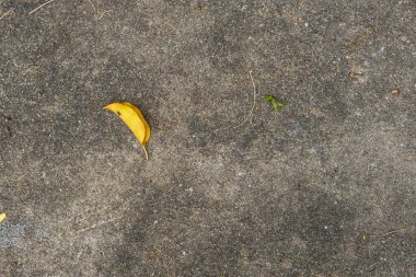 Beton zemin ve fayanslarda çeşitli çatlaklar ve çizikler var. Arka plan görüntüsü olarak iyi çalışıyor. Değişik ve farklı desenleri olan bir alan..