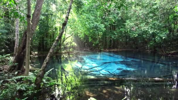 Emerald Pool Επαρχία Krabi Υπάρχουν Πολλοί Άνθρωποι Που Πηγαίνουν Σπουδάσουν — Αρχείο Βίντεο