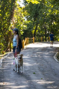 Ormanda köpeği gezdiren kız.