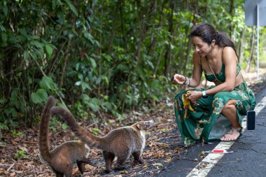 Yolda beyaz burunlu koatileri besleyen bir kız.