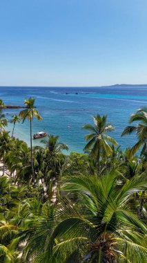 Cennet kumsalı ve ormanın insansız hava aracı manzarası
