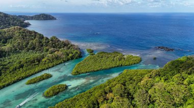 Karayiplerdeki mangrovların insansız hava aracı görüntüleri
