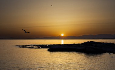 Sahilde bir gün batımının yatay fotoğrafı.