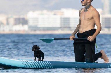 Adam köpekle sörf yapıyor..