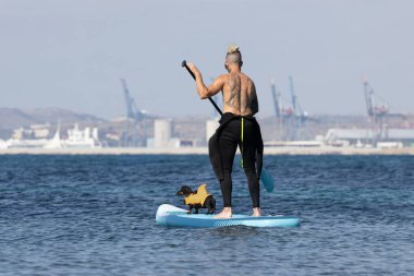 Yüzme köpek şortu giymiş bir köpekle sörf yapan bir adam..