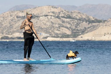 Yüzme köpek şortu giymiş bir köpekle sörf yapan bir adam..