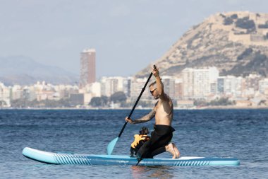 Yüzme köpek şortu giymiş bir köpekle sörf yapan bir adam..