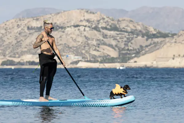 Yüzme köpek şortu giymiş bir köpekle sörf yapan bir adam..
