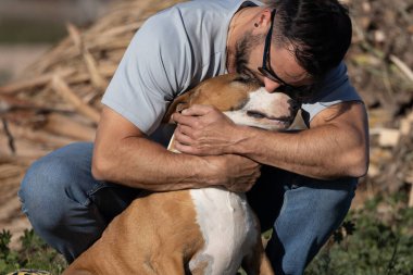 Bullterrier köpeği ve sahibi birbirlerine sevgi gösteriyorlar..