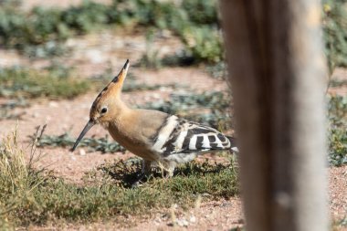 Herkes yere yatsın..