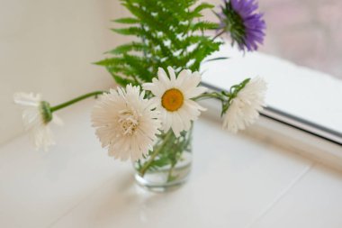 Vazoda bir buket papatya. Pencere kenarında.